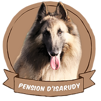 Pension canine à VENDAYS-MONTALIVET Gironde, France.