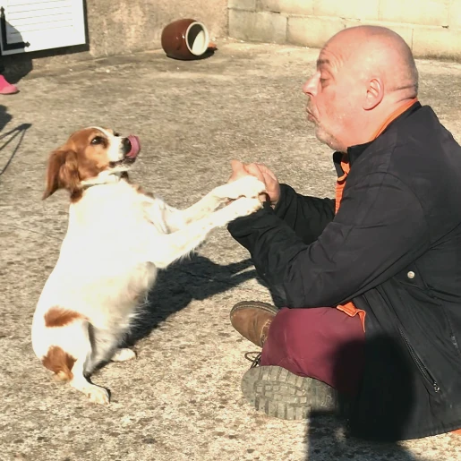 Franck Robert - Comportementaliste Éducateur canin à Carcassonne